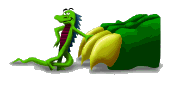 eddie-gator